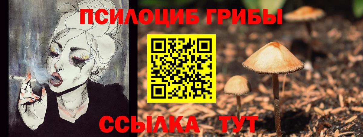Галлюциногенные грибы GOLDEN TEACHER Троицк